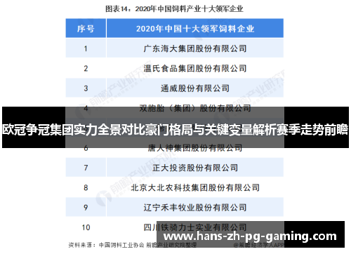 欧冠争冠集团实力全景对比豪门格局与关键变量解析赛季走势前瞻